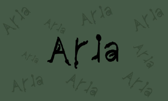 Aria: A Brushed Display Font for Modern Web Design