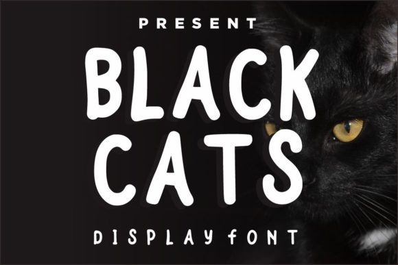Black Cats Font Review: A Bold Display Choice for Designers