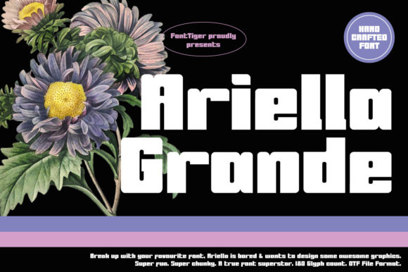 Branding with Ariella Grande: A Bold Display Typeface